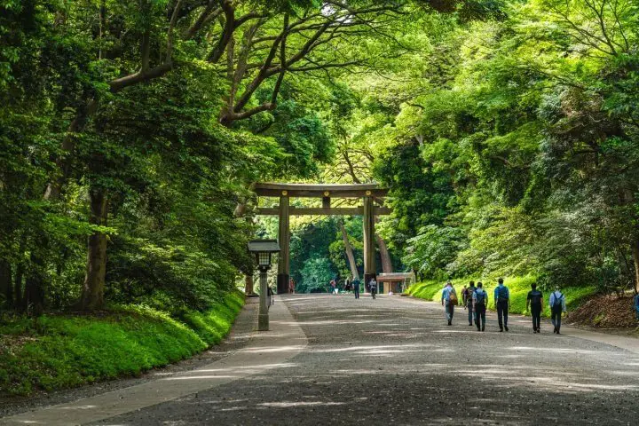 Temple Gardens